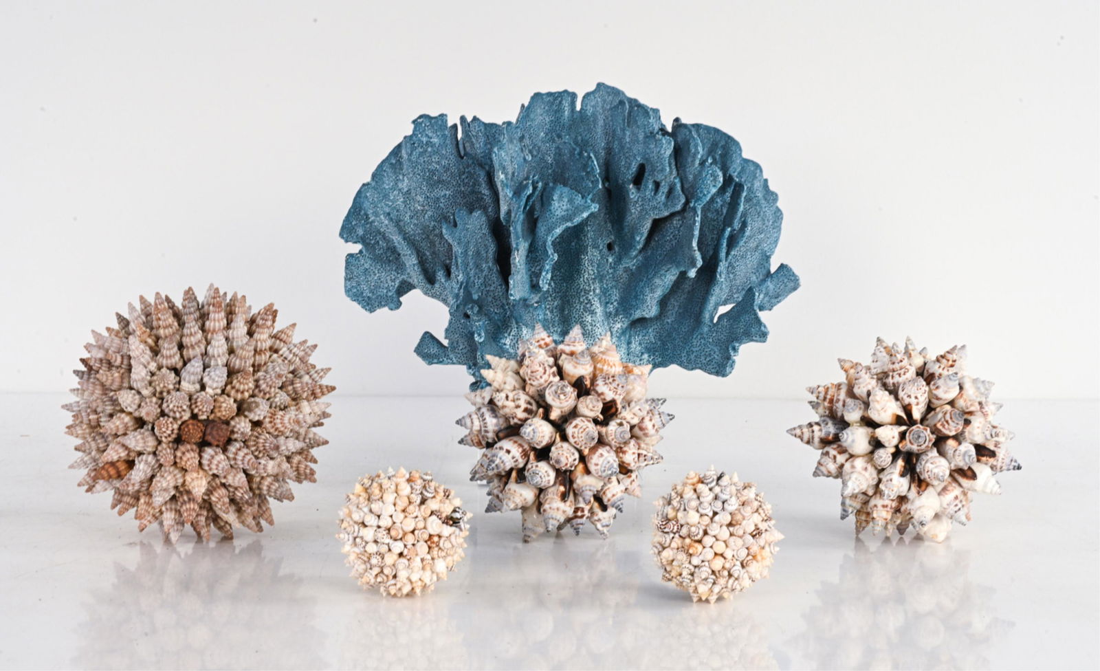 MARINE LIFE SHELL DECORATIVE GROUPING (1 of 11)