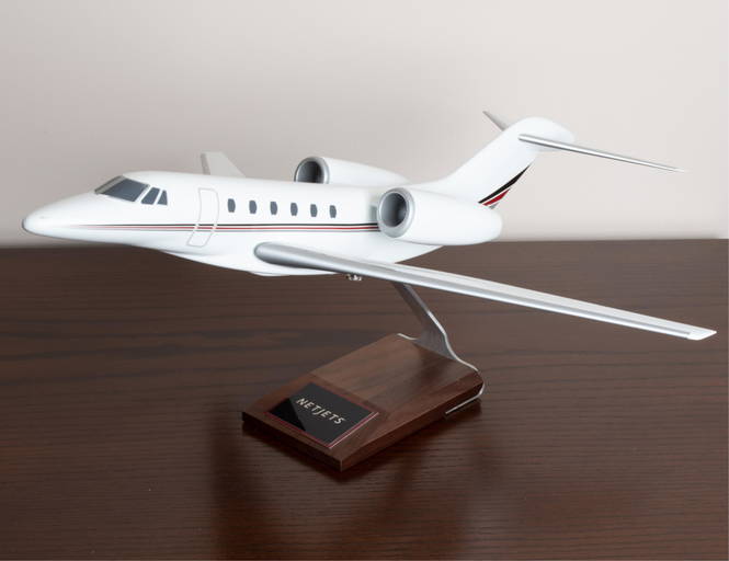 Pacific Miniatures Netjets Plane Model