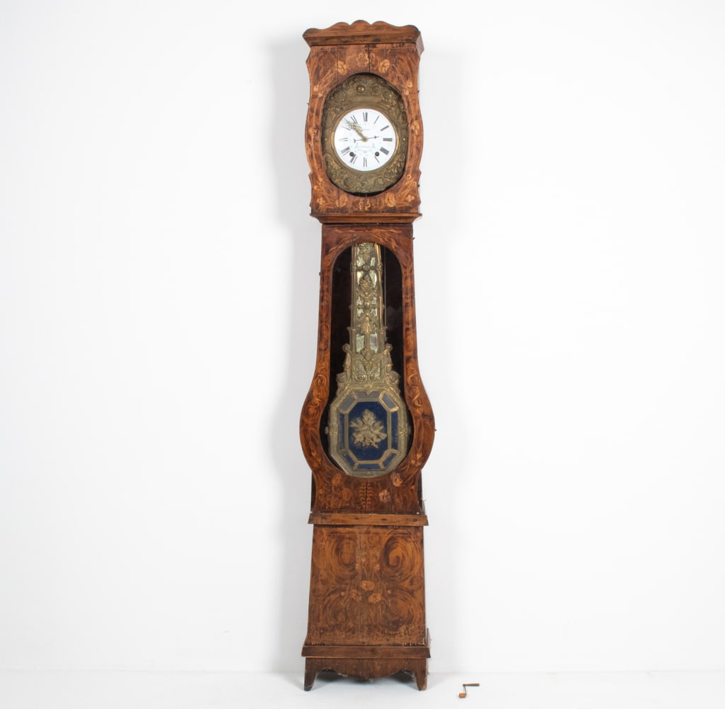 FRENCH PROVINCIAL COMTOISE/MORBIER TALL CASE CLOCK (1 of 20)