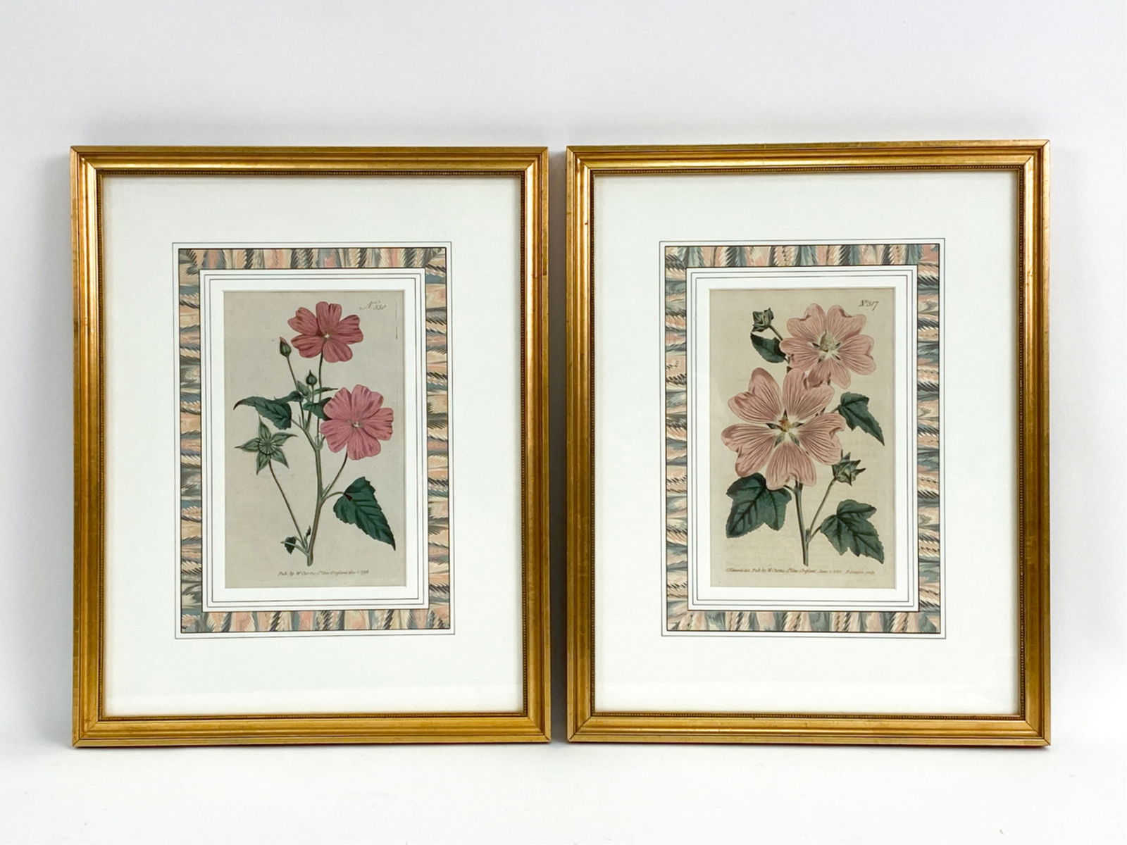 PAIR WILLIAM CURTIS HAND-COLORED BOTANICALS (1 of 12)