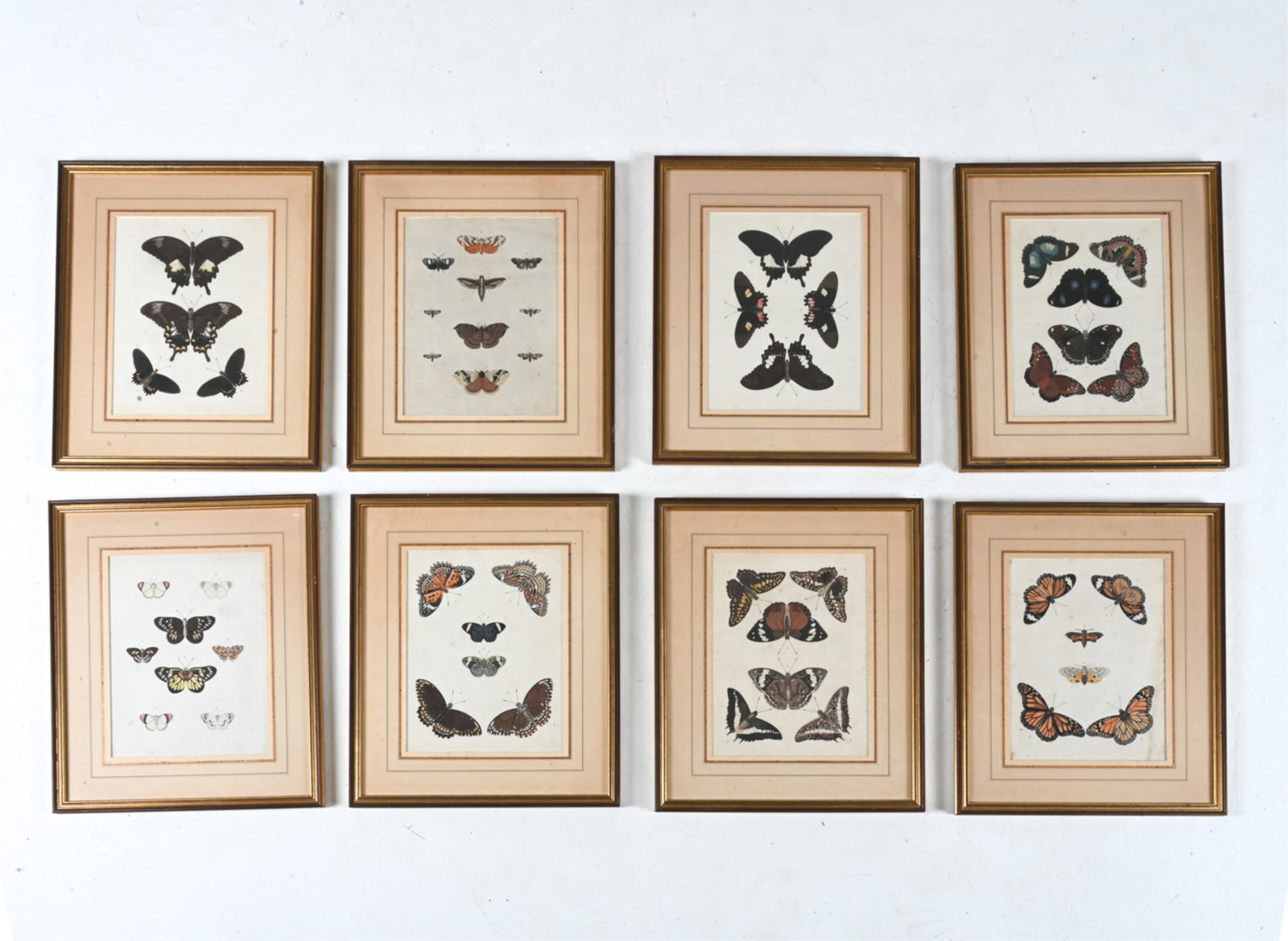 (8) 19TH C. HAND-COLORED BUTTERFLY PRINTS (1 of 8)