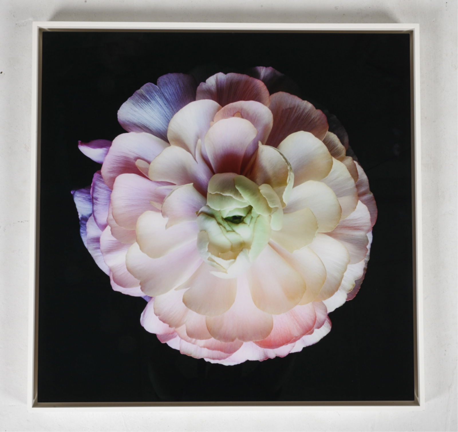 CHRISTOPHER BEANE SIGNED CHROMOGENIC PHOTO PRINT (1 of 8)