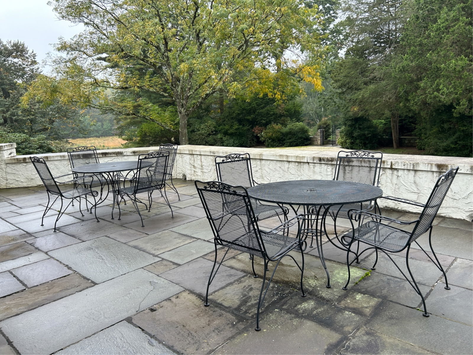 (2) IRON OUTDOOR PATIO TABLES & (8) CHAIRS (1 of 14)