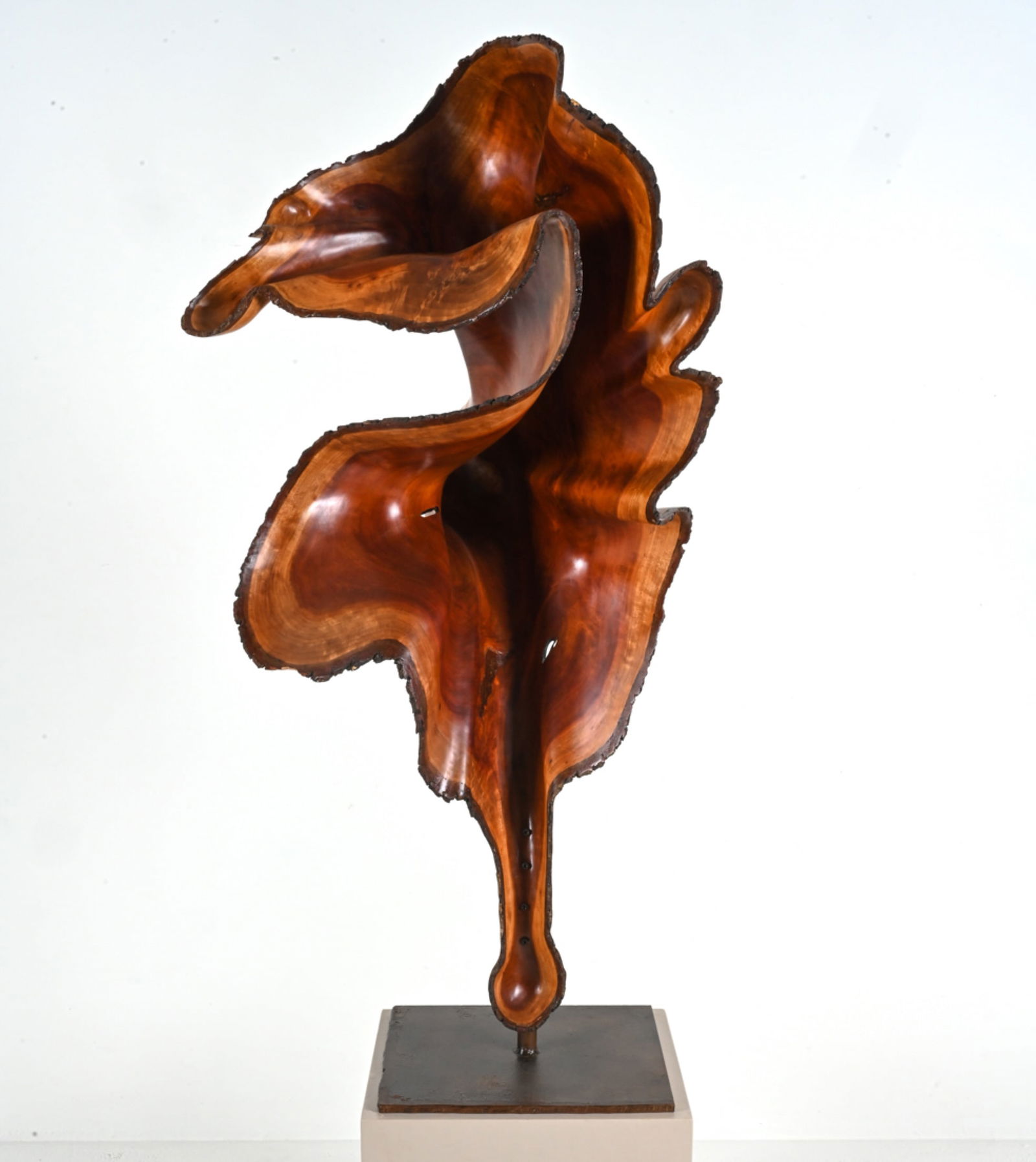 BRAD SELLS ORGANIC MODERN LIVE-EDGE WOOD SCULPTURE (1 of 20)