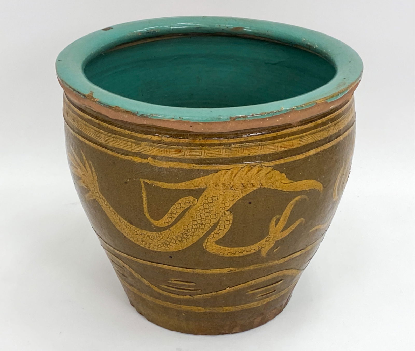 dragon eggs pot 植木鉢 F.E.P. (Five Elements Plants)