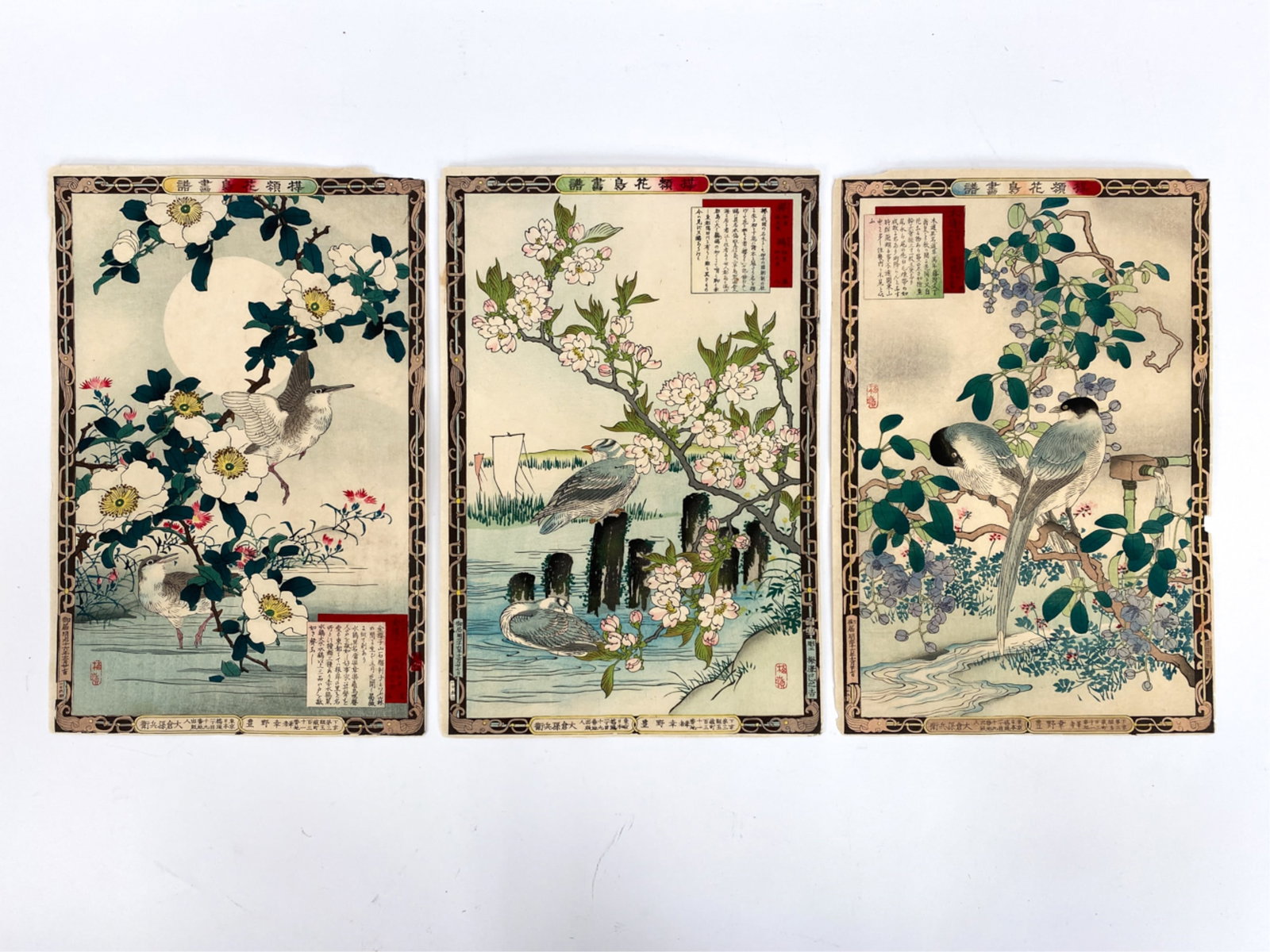 (3) JAPANESE WOODBLOCK PRINTS BIRDS AND FLOWERS (1 of 13)