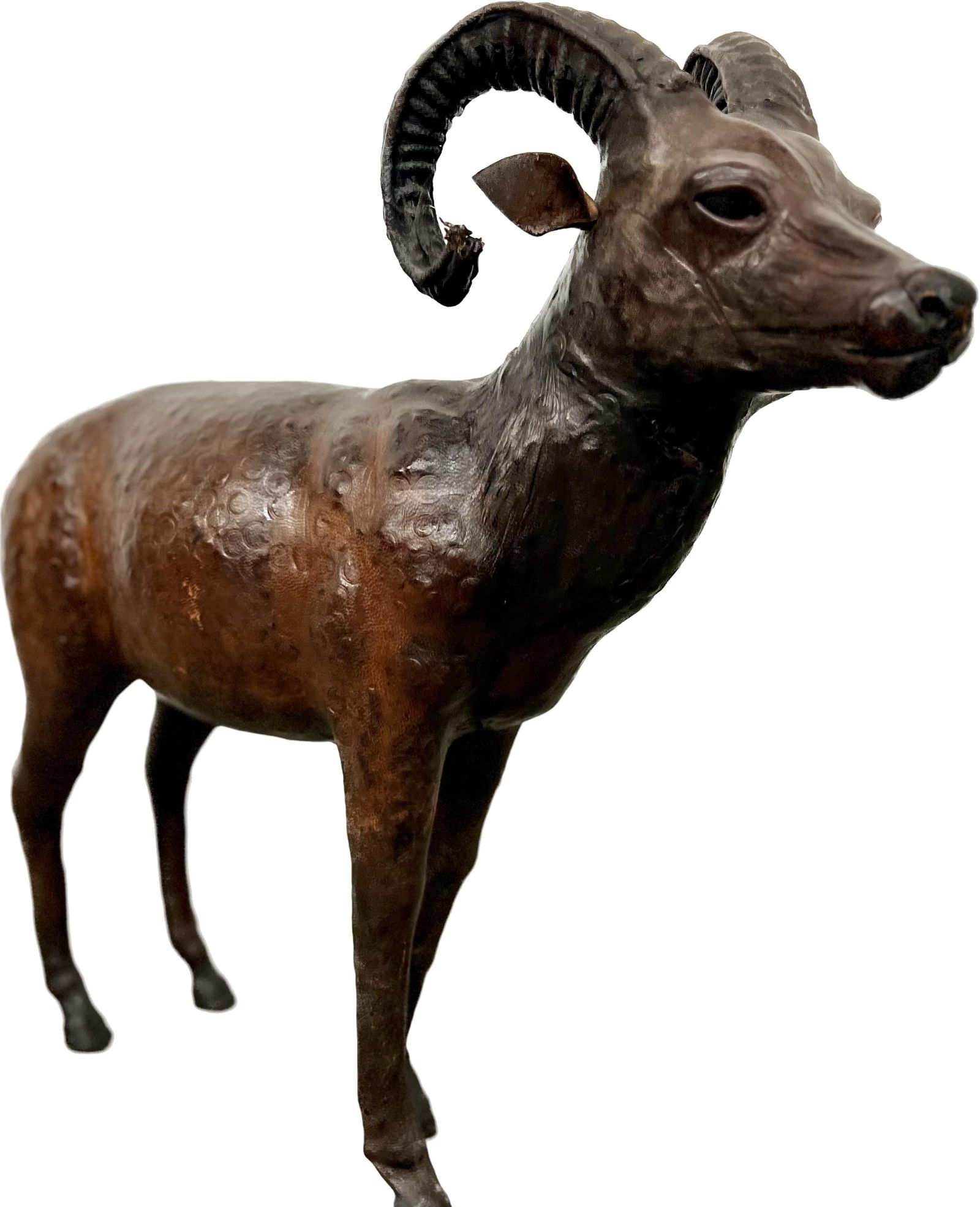 VINTAGE LEATHER CLAD RAM (1 of 19)