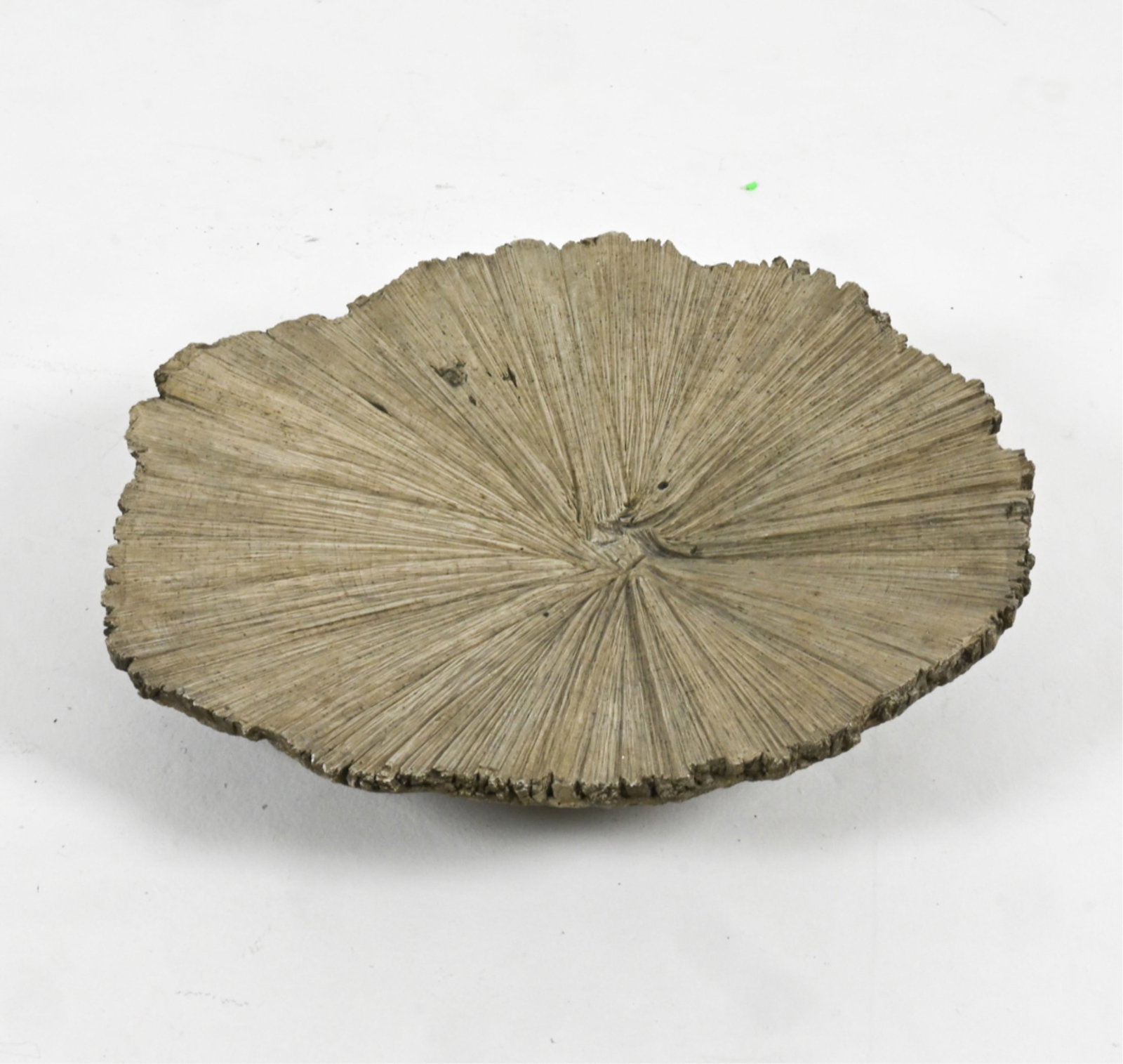 MONUMENTAL STUDIO POTTERY SCULPTURAL BOWL: Lotus leaf design. Signed with impressed monogram "FED" and copyright stamp - possibly '99 or '09 - to edge. Dimensions: H 9" x W 30" x D 25.5" Condition: A few small chips to edge. Presents very well