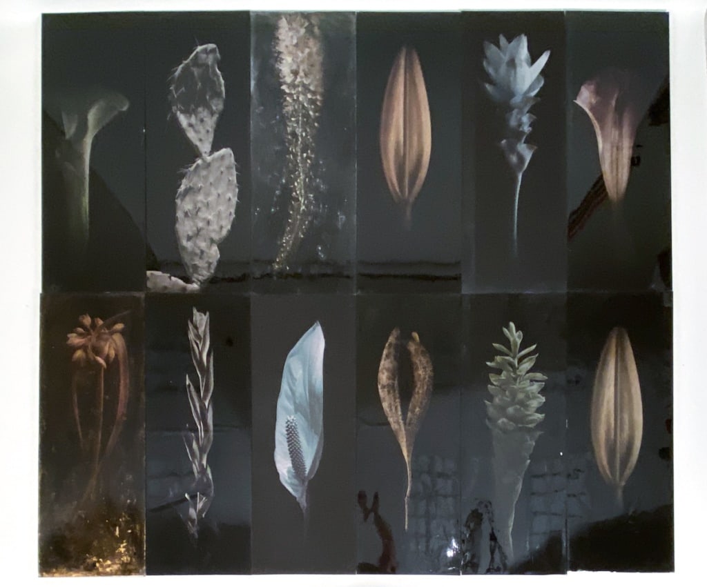 (12) RIEKO FUJINAMI BOTANICAL ART O/B PANELS: Apparently unsigned. Lithos adhered to black wood boards. Dimensions: H 40.5" x W 14" Condition: Marks and residue to edges and corners. Light separation to art from boards.
