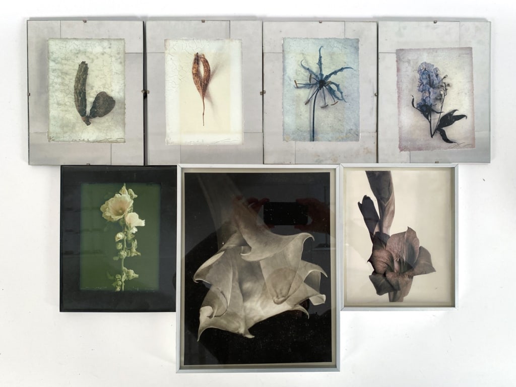 (7) DALE LEIFESTE (1944-2023) PHOTO PRINTS: Label to backsides. Others signed by artist. Framed in metal frames and glass mounting. Frame: (largest) H 14" x W 11.25" Paper: H 13" x W 10" Condition: Surface soiling to frames and glass. Marks and