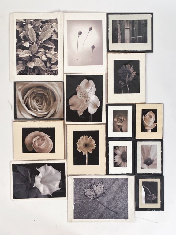 (15) DALE LEIFESTE (1944-2023) PHOTO PRINTS: Marked to backsides. Prints sealed in plastic with mat boards. Few printed on matte paper, others mounted to hand made paper. Dimensions: (Largest) H 12" x W 19" Condition: Slight marks to mat boards.