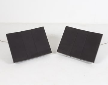 (2) BANG & OLUFSEN 'BEOVOX' RL 45.2 SPEAKERS