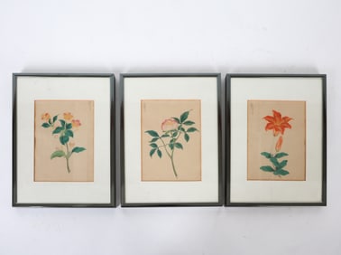 JAPANESE FLORAL STILL LIFE WATERCOLORS