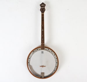REMO WEATHER KING 4-STRING BANJO