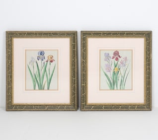 PAIR OF VINTAGE BOTANICAL PRINTS