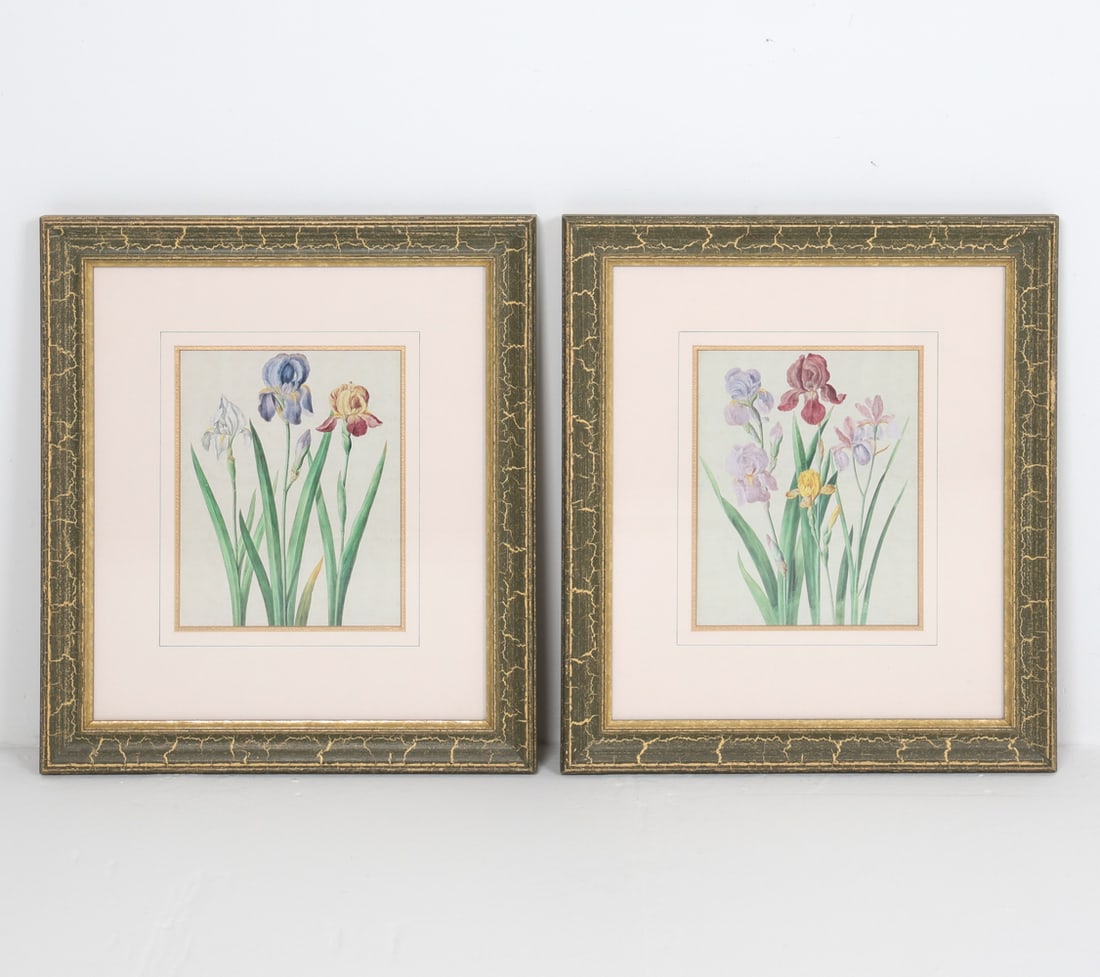 PAIR OF VINTAGE BOTANICAL PRINTS (1 of 10)