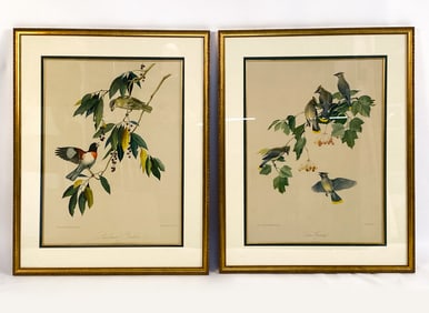 (2) ROGER T. PETERSON (1908-1996) BIRD PRINTS