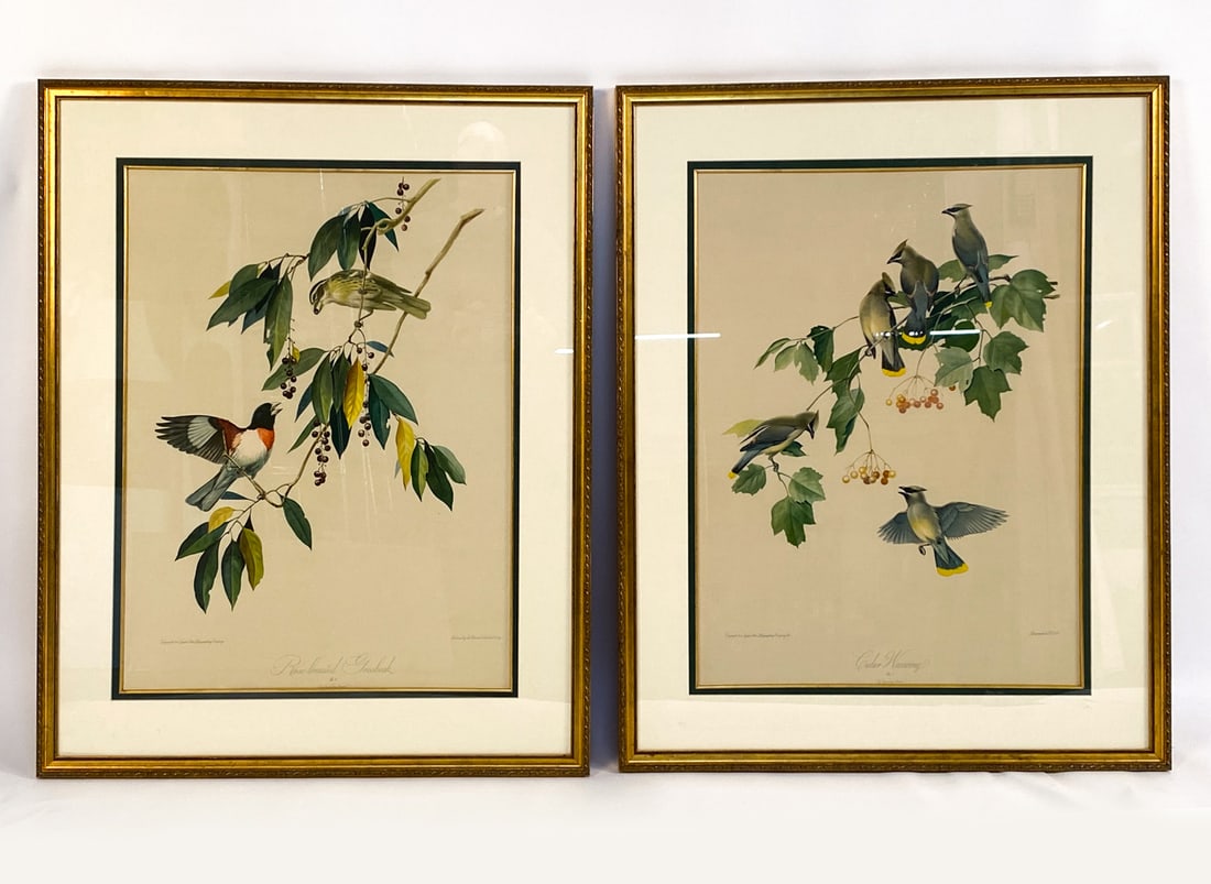 (2) ROGER T. PETERSON (1908-1996) BIRD PRINTS (1 of 18)