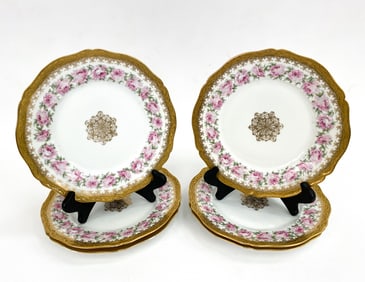 (6) HAVILAND LIMOGES PORCELAIN PLATES