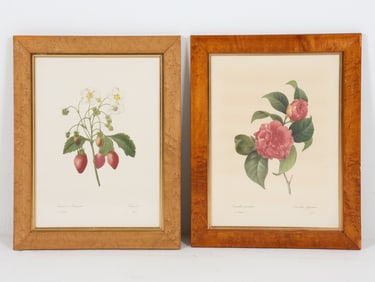 VINTAGE BOTANICAL PRINTS
