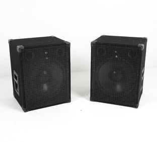 PAIR OF NADY PSW15 500 WATT 15" SUBWOOFERS