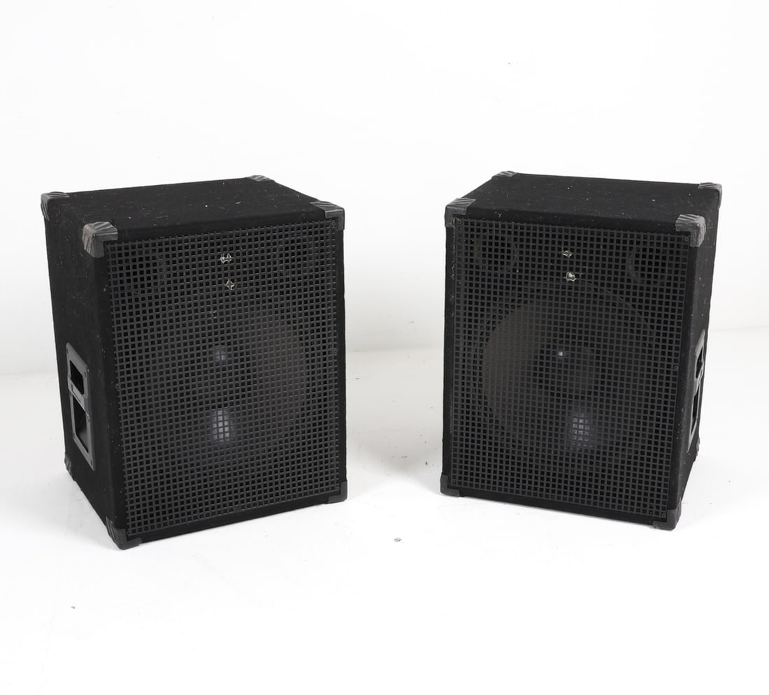 PAIR OF NADY PSW15 500 WATT 15" SUBWOOFERS (1 of 13)