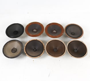 VINTAGE 12" GUITAR AMP SPEAKER GROUPING