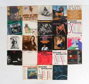 VINTAGE MISC. VINYL LP RECORDS, UNUSUAL TITLES