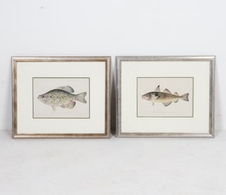 DENTON FISH CHROMOLITHOGRAPHS 19TH C.