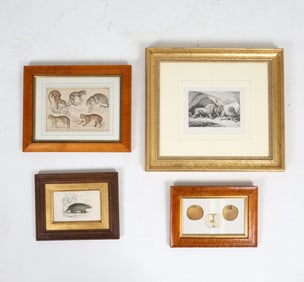 ANTIQUE ANIMAL ETCHINGS & PRINTS