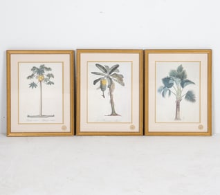 RICHARD DE TUSSAC BOTANICAL PRINTS