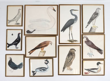 OLOF RUDBECK (20TH C.) BIRD PRINTS FLOCK