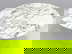 item-209254046=3