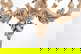 item-209560426=14
