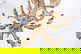 item-209560426=16