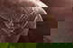 item-209560467=14