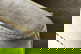 item-210202518=8