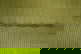 item-210343225=10