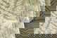 item-210432732=9