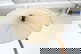 item-210432742=4