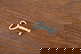item-210432799=19