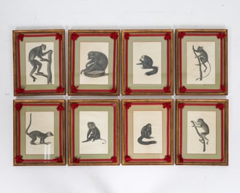 JEAN BAPTISTE AUDEBERT ANTIQUE MONKEY PRINTS