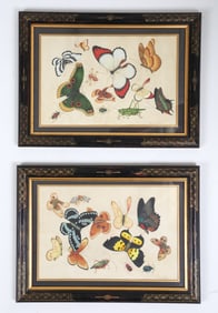 (2) FRANCESCA PALAZZOLA INSECTS GOUACHE