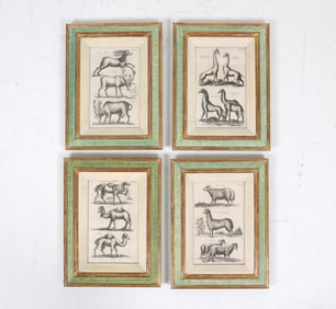 JOHN JOHNSTON (1603-1675) ANTIQUE ENGRAVINGS