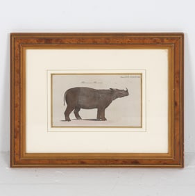A. BELL RHINOCEROS HAND COLORED ETCHING