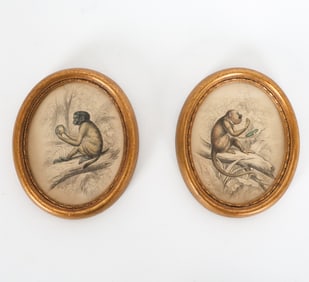 PAIR OF ANTIQUE HAND COLORED MONKEY PRINTS