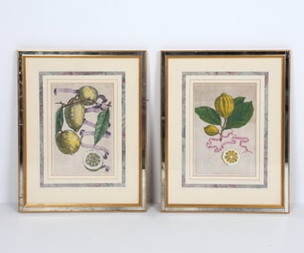 GIOVANNI BAPTIST FERRARI ANTIQUE PRINTS