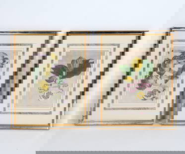 GIOVANNI BAPTIST FERRARI ANTIQUE PRINTS: Hand colored. Frame: H 22" x W 17.25" Sight: H 12.5" x W 8.5" Condition: Creases to paper. Scuffs to frame. Mirror inlaid to frame has some pitting and cracks to edges. Wear consistent with age and us