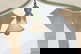 item-210564945=12