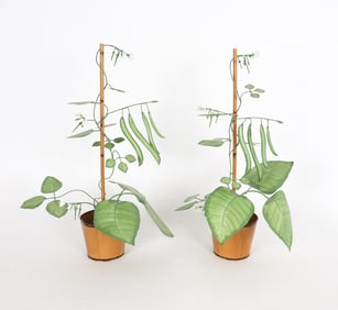 PAIR DECORATIVE TOLE METAL PLANTS